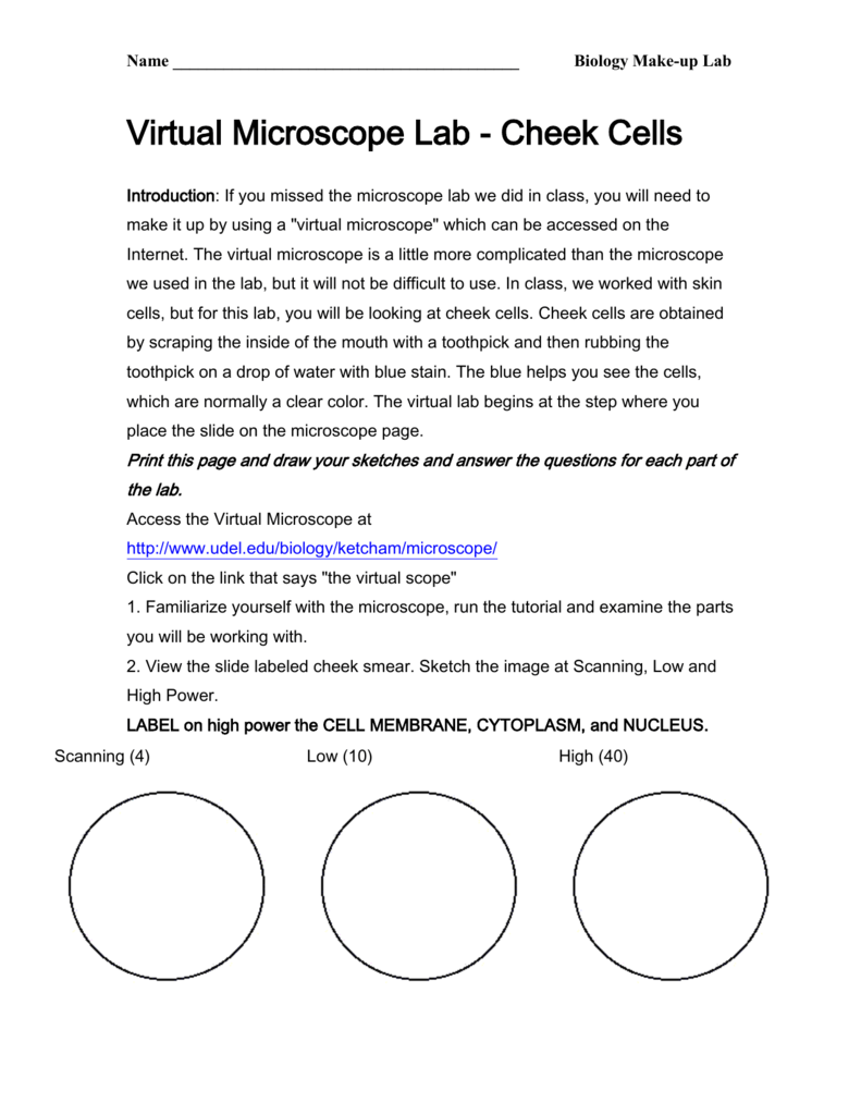 Virtual Microscope Lab Cheek Cells