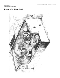 Plant Cell Work Sheet - Winston Knoll Collegiate
