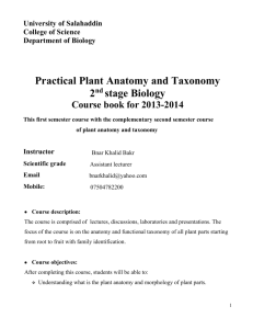 Plant Anatomy Lab Key