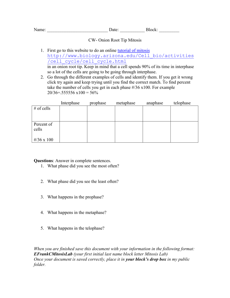 Onion Root Tip Mitosis Lab With Onion Cell Mitosis Worksheet Answers
