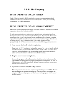DUC Company Vision Mission Bylaws