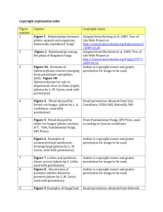 Carris_Introduction to Fungi Copyright Table