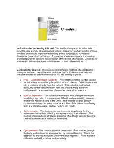 Urinalysis