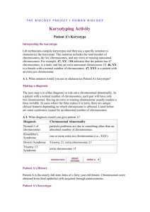 BIOLOGY-Karyotyping Activity (DOC 100KB)