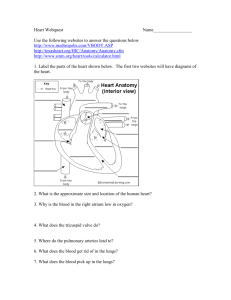 Heart Webquest - Teacher Pages