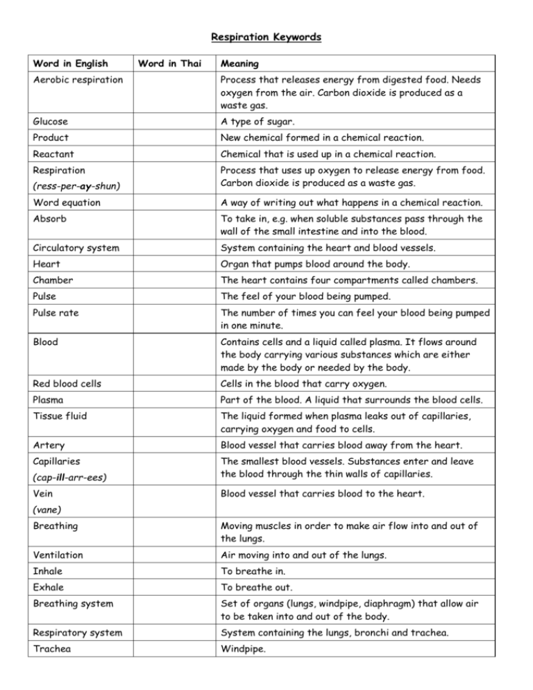 8b-word-sheets