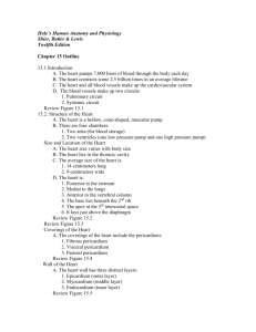 Ch. 15 Outline