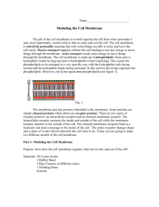 Part 1: Modeling the Cell Membrane