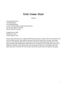 Irish Creme Stout - The Stout Palace