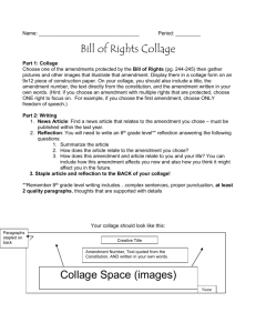 Bill of Rights Collage