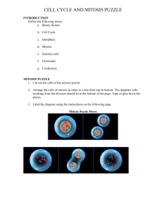 MITOSIS PUZZLE