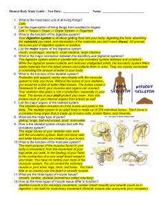 Unit 4 (Human Body) Study Guide