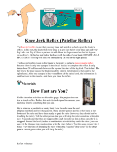 Knee Jerk Reflex (Patellar Reflex)