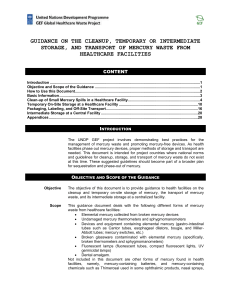 Guidance on Mercury Phase Out Management