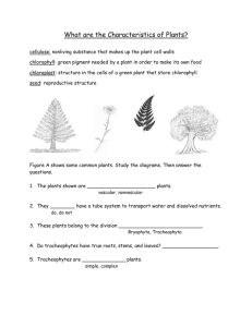 Plant Characteristics Worksheet