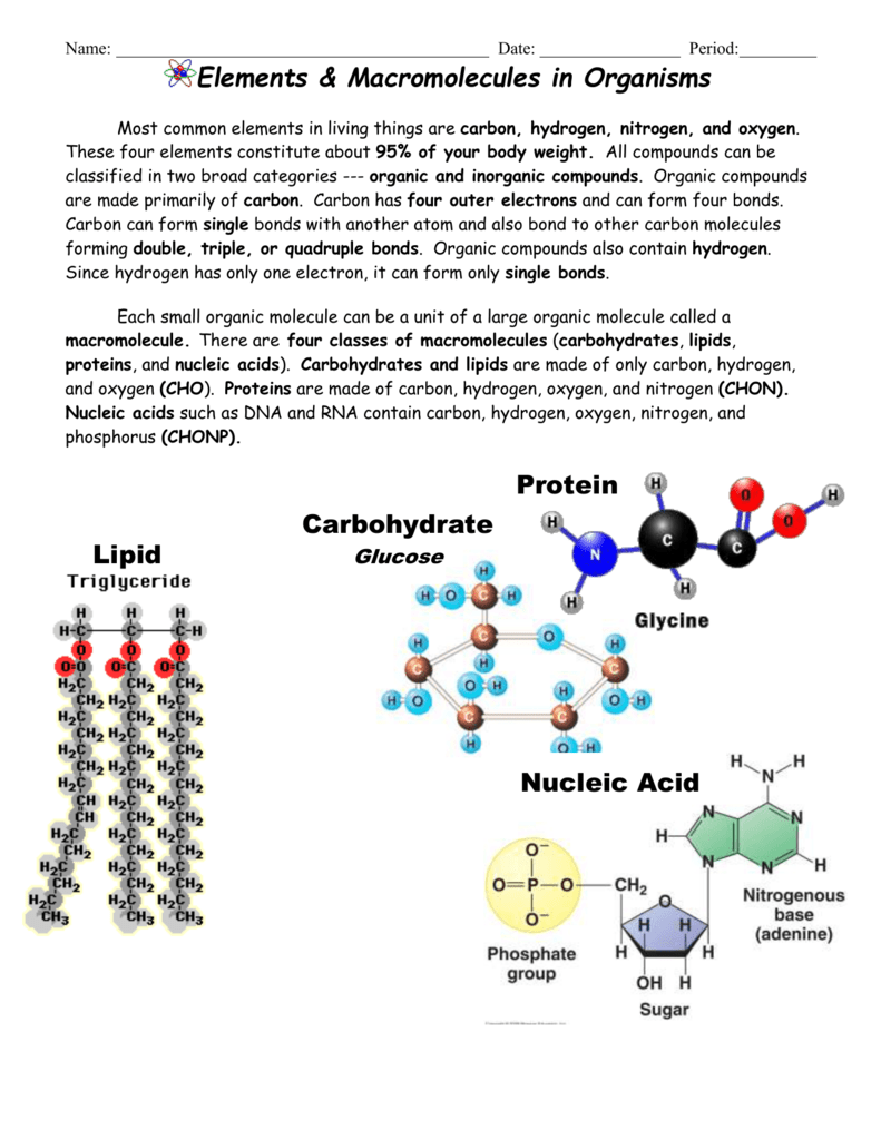 Elements Found In Living Things