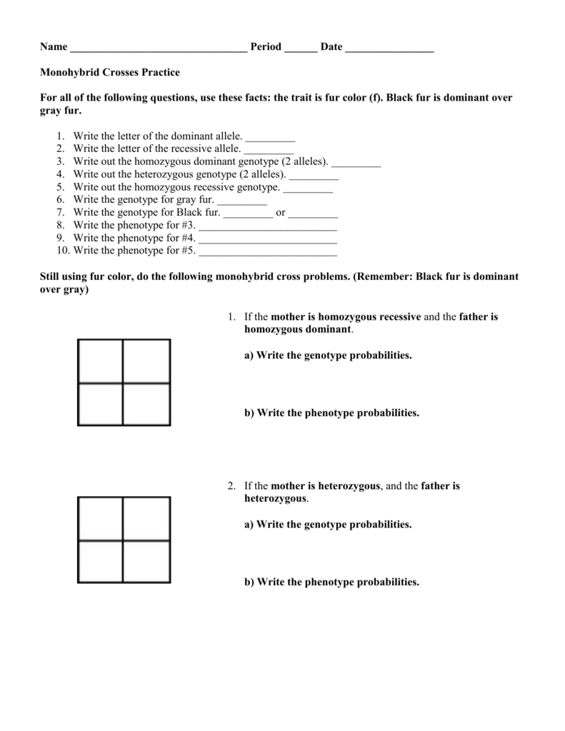 Monohybrid Crosses Practice With Monohybrid  Cross Practice Problems Worksheet