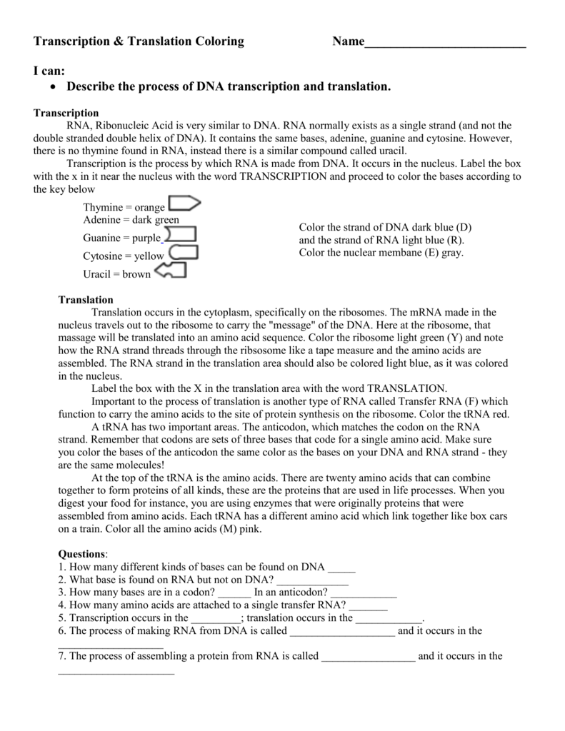 DNA Coloring - Transcription & Translation Inside Dna Transcription And Translation Worksheet