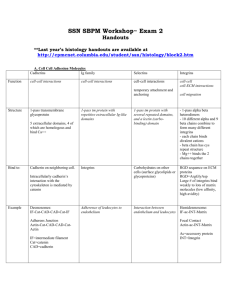 Handouts - Columbia University Medical Center