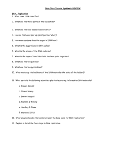 RNA and Protein Synthesis