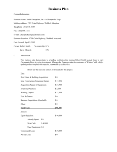 Business Plan - Carroll County Department of Economic Development