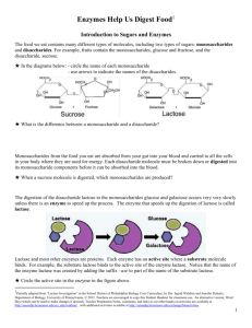 What effects do enzymes have on chemical reactions