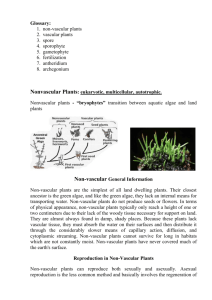 Nonvascular plants - “bryophytes” transition between aquatic algae