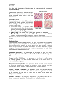 P2 – The main tissue types of the body and the role these play in two