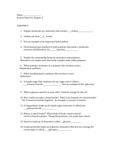 review sheet for chapter 4 and 5 answers
