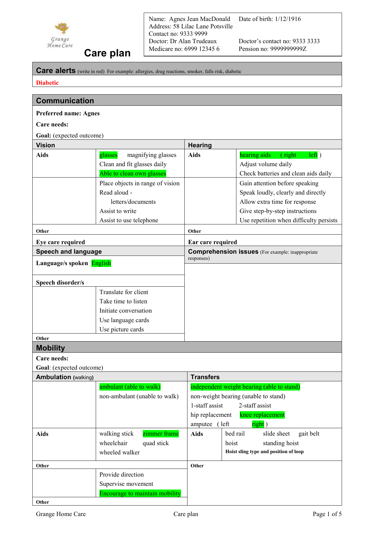 Template For Care Plan