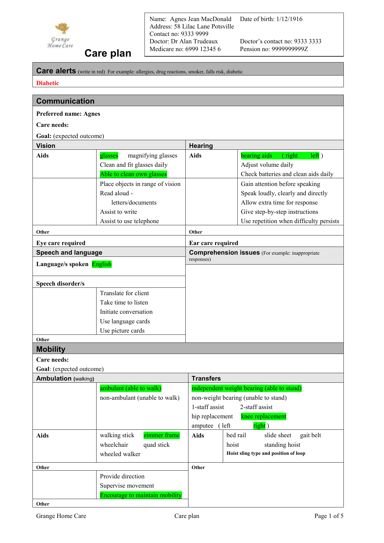 care-plan-template