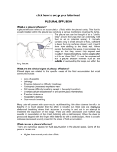 pleural effusion - Alpine Animal Hospital
