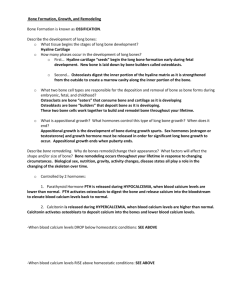 Bone Formation - Lemon Bay High School