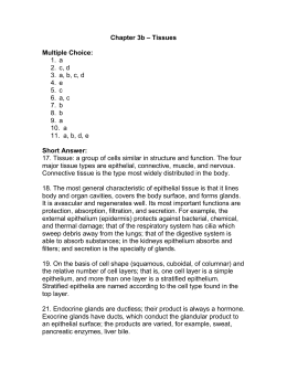Animal Tissue Worksheet