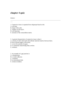 chapter 4 quiz - Athens Academy