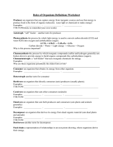 Roles of Organisms Definitions Worksheet Producer