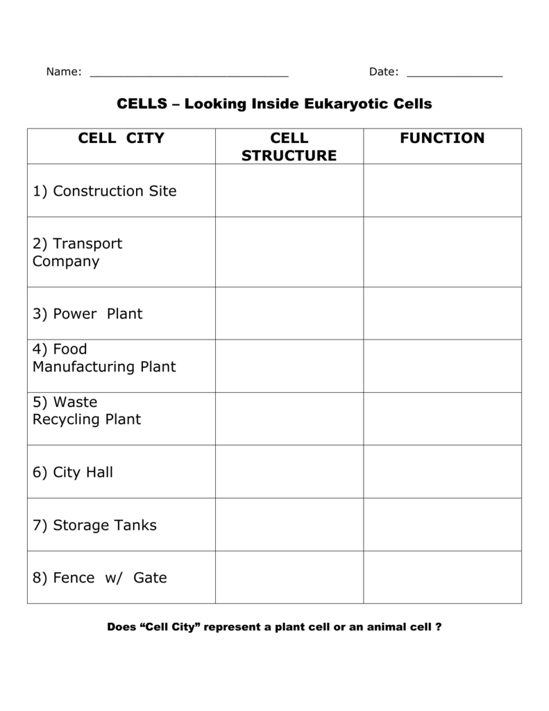 Cell Structure Function Chart