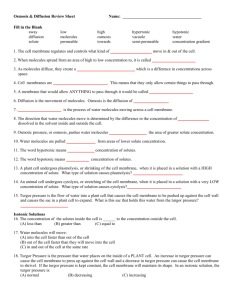 Osmosis & Diffusion Review Sheet