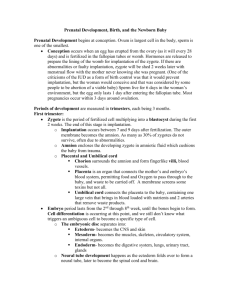 Prenatal Development, Birth, and the Newborn Baby