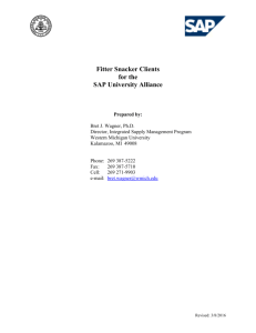 Fitter Snacker Clients - SAP Instructional Materials Site