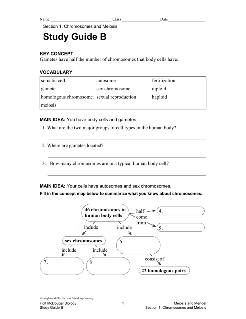 chapter-6-meiosis-and-mendel-study-guide-answer-key-study-poster