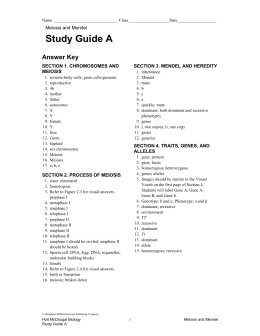 studylib.net - Essys; homework help; flashcards; research papers; book