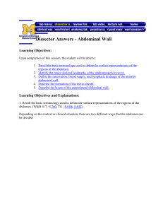 Dissector Answers-abdominal-wall