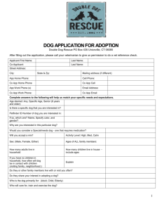 DDR Adoption Application