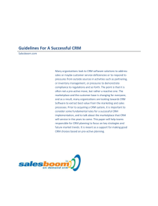 Word Document : Guidelines For A Successful CRM
