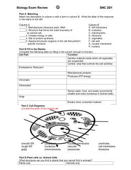 Grade 10 Biology Review