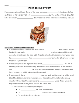 SBI3U – Animals: Structure and Function Unit