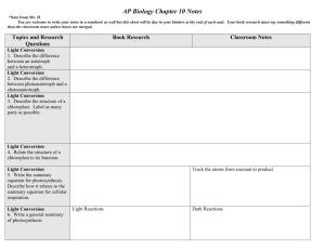 AP Biology Chapter 5 Notes