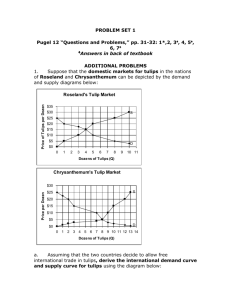 problem set 1 - Shepherd Webpages