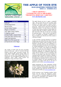 SLOG newsletter - the South Lakeland Orchard Group